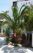 Туры в отель Villa Paradisia Туры в отель Villa Paradisia