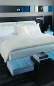 Туры в отель W Montreal Туры в отель W Montreal