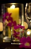 Туры в отель W Montreal Туры в отель W Montreal