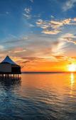 Туры в отель W Retreat & Spa Туры в отель W Retreat & Spa