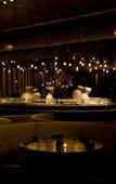 Туры в отель W Scottsdale Туры в отель W Scottsdale