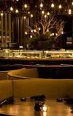 Туры в отель W Scottsdale Туры в отель W Scottsdale
