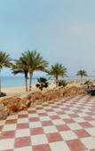 Туры в отель Wadi Lahmy Azur Туры в отель Wadi Lahmy Azur