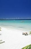Туры в отель White Sands Negril Туры в отель White Sands Negril