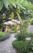 Туры в отель White Sands Resort Туры в отель White Sands Resort