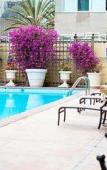Туры в отель Wilshire Plaza Туры в отель Wilshire Plaza