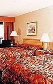 Туры в отель Wyndham Nassau Resort & Crystal Palace Casino Туры в отель Wyndham Nassau Resort & Crystal Palace Casino