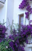 Туры в отель Yel Holiday Resort Туры в отель Yel Holiday Resort