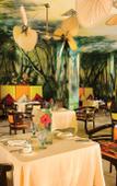 Туры в отель Zoetry Paraiso de la Bonita Туры в отель Zoetry Paraiso de la Bonita
