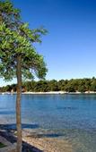 Туры в отель Hotel Zorna Plava Laguna Туры в отель Hotel Zorna Plava Laguna