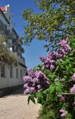 Туры в отель Пансионат Афалина (Фиолент) Туры в отель Пансионат Афалина (Фиолент)