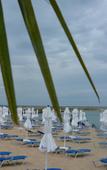 Туры в отель LTI Berlin Green Park Hotel Туры в отель LTI Berlin Green Park Hotel