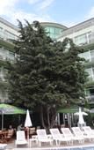 Туры в отель MPM Hotel Boomerang Туры в отель MPM Hotel Boomerang
