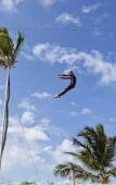 Туры в отель Occidental Caribe Туры в отель Occidental Caribe