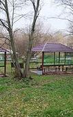 Туры в отель Лесные дали Туры в отель Лесные дали