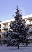 Туры в отель Летцы Туры в отель Летцы