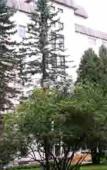 Туры в отель Назарьево Туры в отель Назарьево