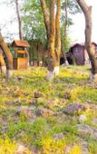 Туры в отель Pontos Family Resort Zarya Туры в отель Pontos Family Resort Zarya