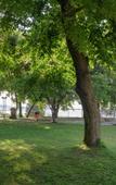 Туры в отель Park Hotel Oasis Туры в отель Park Hotel Oasis