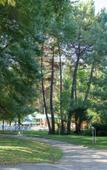 Туры в отель Park Hotel Oasis Туры в отель Park Hotel Oasis