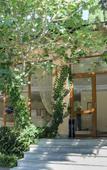 Туры в отель Park Hotel Oasis Туры в отель Park Hotel Oasis