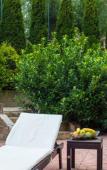 Туры в отель Apart Hotel Orbilux Туры в отель Apart Hotel Orbilux
