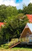 Туры в отель Орленок Туры в отель Орленок