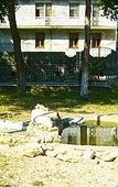 Туры в отель Полярные зори Туры в отель Полярные зори