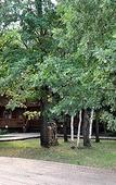 Туры в отель Русская деревня Туры в отель Русская деревня