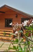 Туры в отель Beira Mar Resort Туры в отель Beira Mar Resort