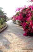 Туры в отель Beira Mar Resort Туры в отель Beira Mar Resort