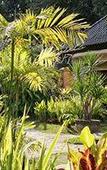 Туры в отель Beji Ubud Resort Туры в отель Beji Ubud Resort