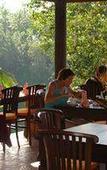 Туры в отель Beji Ubud Resort Туры в отель Beji Ubud Resort