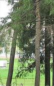 Туры в отель Чайковский Туры в отель Чайковский
