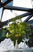 Туры в отель Ramada Plaza Туры в отель Ramada Plaza