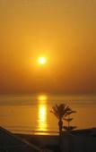 Туры в отель Hotel Residence Romane Туры в отель Hotel Residence Romane