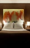Туры в отель Eden Hotel Amsterdam Туры в отель Eden Hotel Amsterdam