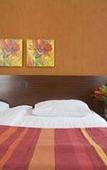 Туры в отель Hotel Atlas Vondelpark Туры в отель Hotel Atlas Vondelpark