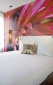 Туры в отель Conscious Hotel Vondelpark Туры в отель Conscious Hotel Vondelpark