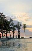 Туры в отель Puri Saron Hotel Baruna Beach Lovina Туры в отель Puri Saron Hotel Baruna Beach Lovina