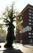 Туры в отель NH Groningen Туры в отель NH Groningen