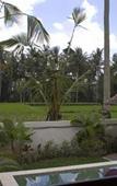 Туры в отель Bhanuswari Resort & Spa Туры в отель Bhanuswari Resort & Spa
