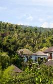 Туры в отель Damai Lovina Villas Туры в отель Damai Lovina Villas