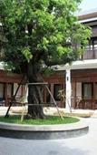 Туры в отель Rimping Village Туры в отель Rimping Village