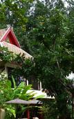 Туры в отель Yaang Come Village Туры в отель Yaang Come Village
