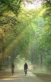 Туры в отель Hilton Royal Parc Soestduinen Туры в отель Hilton Royal Parc Soestduinen