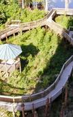 Туры в отель Blue Heron Beach Resort Туры в отель Blue Heron Beach Resort