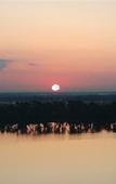 Туры в отель Blue Heron Beach Resort Туры в отель Blue Heron Beach Resort