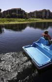 Туры в отель Westgate Lakes Туры в отель Westgate Lakes