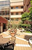 Туры в отель Celestine Hotel Туры в отель Celestine Hotel